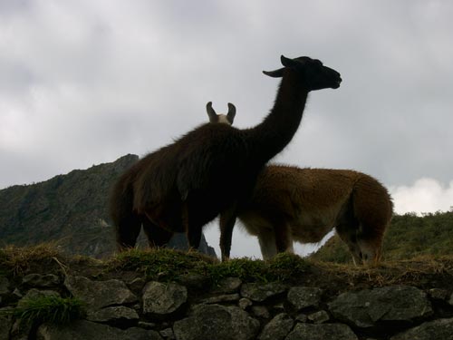 Ultimo viaje a Machu Pichu con Johnny De Carli